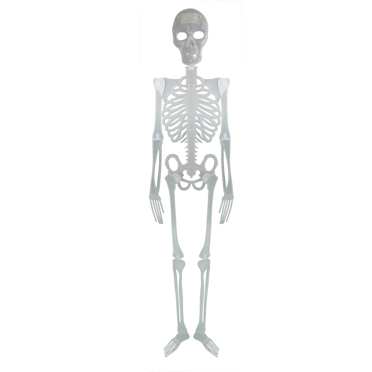 Skelett 150 cm | Große Halloween-Deko zum Hängen oder Stellen