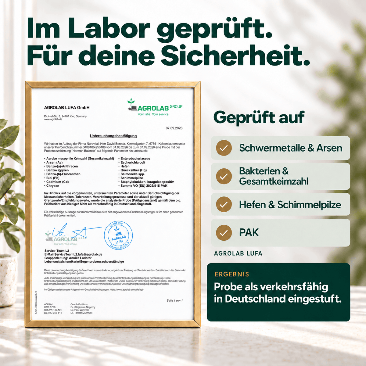 Hormon Balance – Frauen Komplex Namma Markt