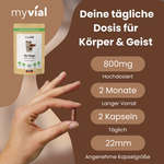 Bio Chaga Kapseln