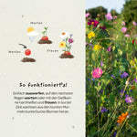 5 Blumenmurmeln im Tütchen zur Einschulung "Du bist 1. Klasse"