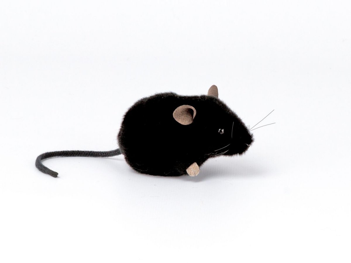 Kösener Maus Plüschtier schwarz