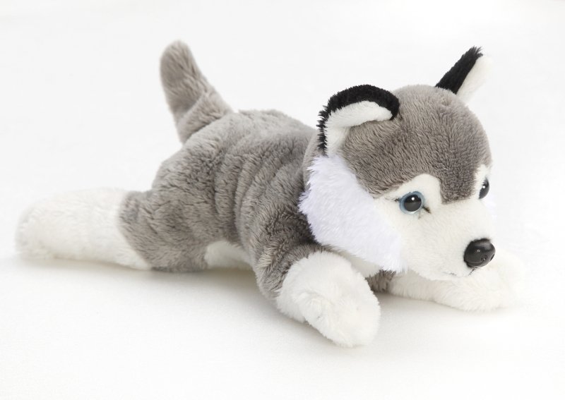 Liegender Husky als Plüschtier, 22 cm