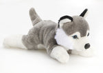Liegender Husky als Plüschtier, 22 cm