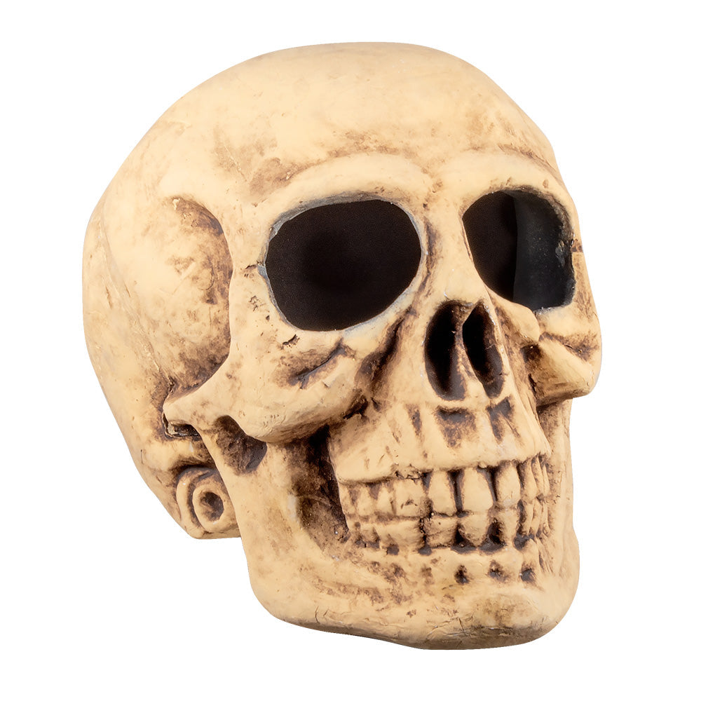 Totenkopf Master brain (40x35cm)