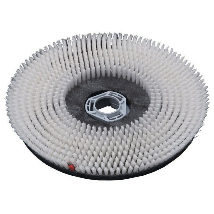 Scheuerbürste Waschbeton (43 cm), für swingo 1850 & 4000, Scheuerbürste mit abgeschrägten Borsten | Packung (1 Stück)