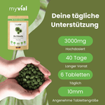 Bio Chlorella Tabletten Presslinge Namma Markt