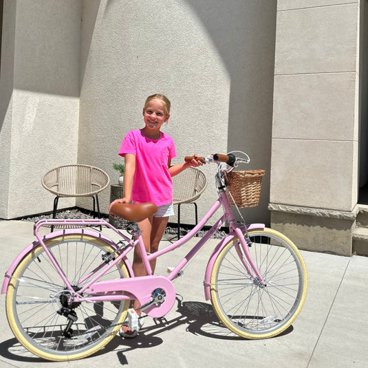 Glerc 26 Inch Hybrid Bike with Rear Rack-Missy