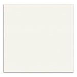 PAPSTAR Servietten 1/4-Falz, 33x33 cm, weiß, 2-lagig | Folie (50 Stück)