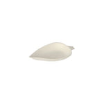 PAPSTAR 50 Fingerfood - Teller, Zuckerrohr "pure" weiss