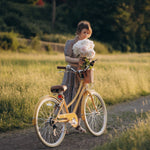 Glerc 26 Inch Hybrid Bike-Missy