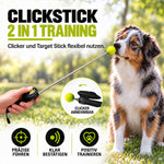 ClickStick für Hunde & Katzen – Target Stick mit abnehmbarem Clicker | ASCO
