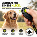 ClickStick für Hunde & Katzen – Target Stick mit abnehmbarem Clicker | ASCO