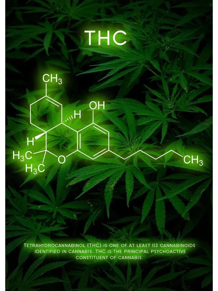 Neon Effect Poster