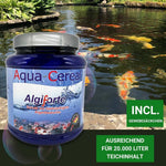 Fadenalgen bekämpfen  mit Algiforte von Aqua-Cereal