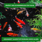 Fadenalgen bekämpfen  mit Algiforte von Aqua-Cereal