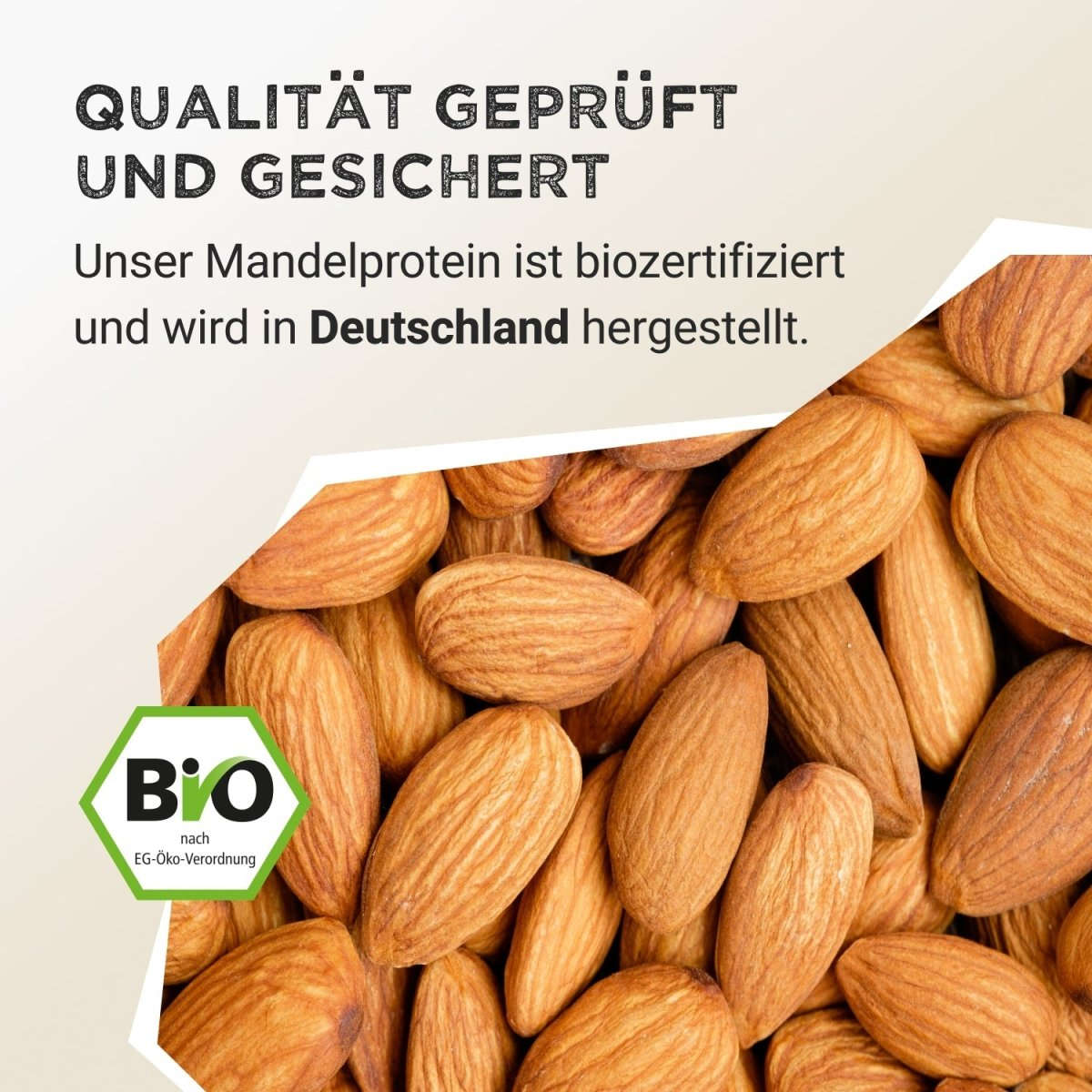 Almond Protein - Vanilla