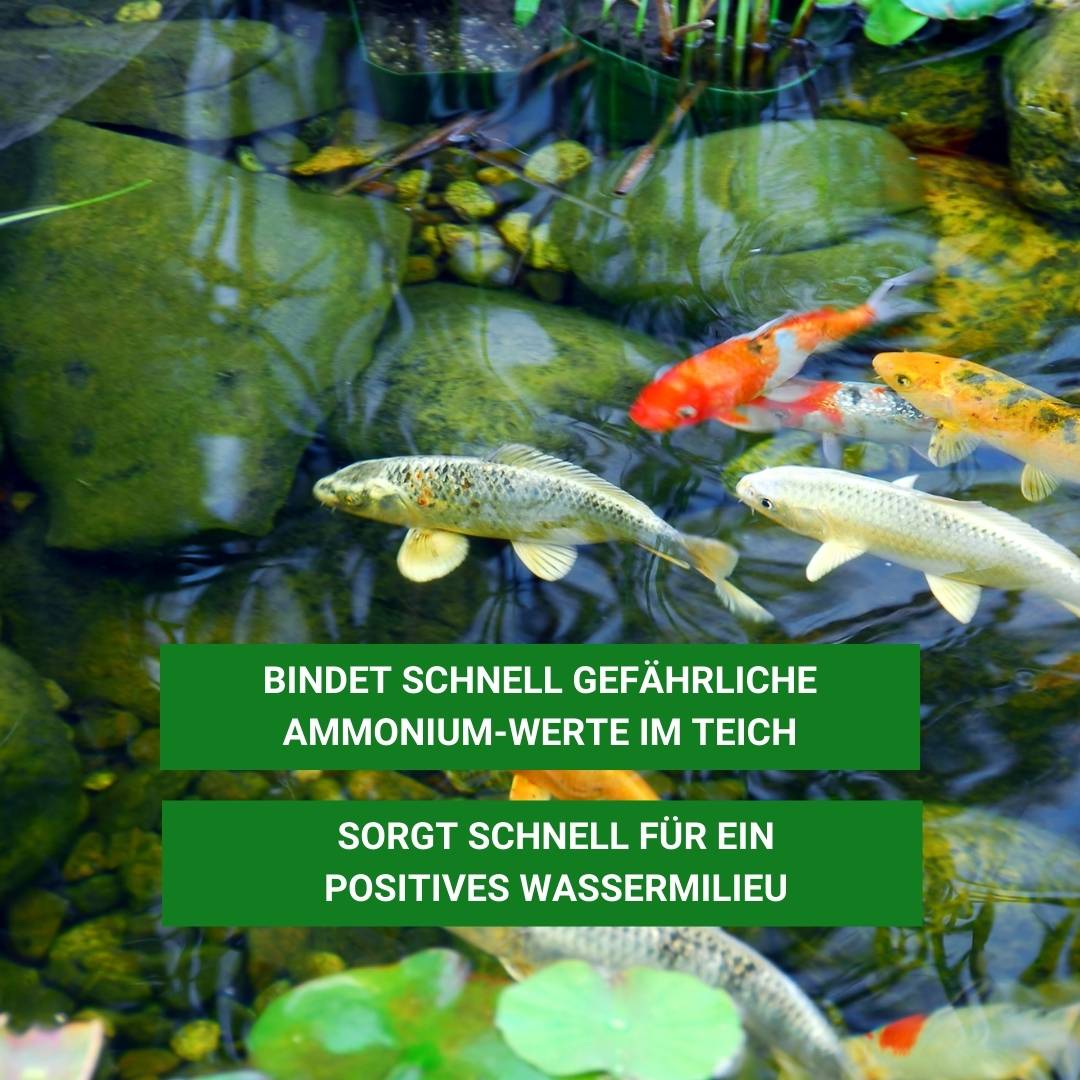 Ammonium & Nitrit MINUS Bakterien 500 ml - Soforthilfe