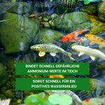 Ammonium & Nitrit MINUS Bakterien 500 ml - Soforthilfe