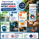 Ammonium & Nitrit MINUS Bakterien 500 ml - Soforthilfe