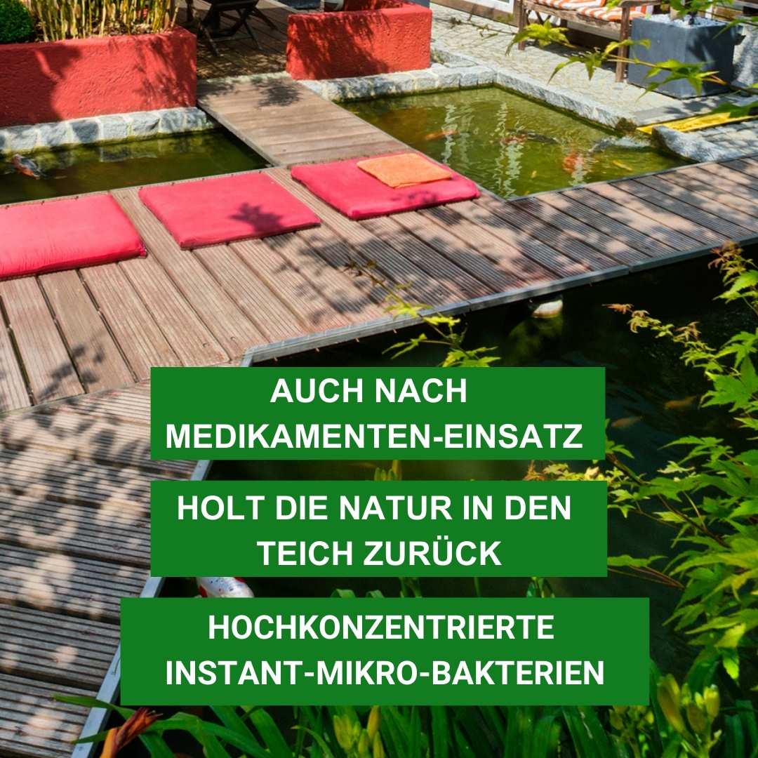 Aqua Micro Dry - Teichbakterien