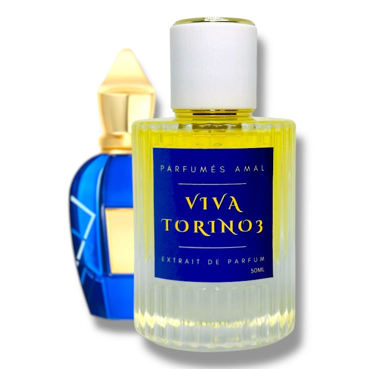 Viva Torino 3