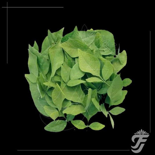Bael Leaves - 11 leaves in a pack product image 1