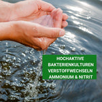 Ammonium & Nitrit MINUS Bakterien 500 ml - Soforthilfe