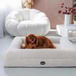 Hundebett Barklay Größe XS mit Bouclébezug