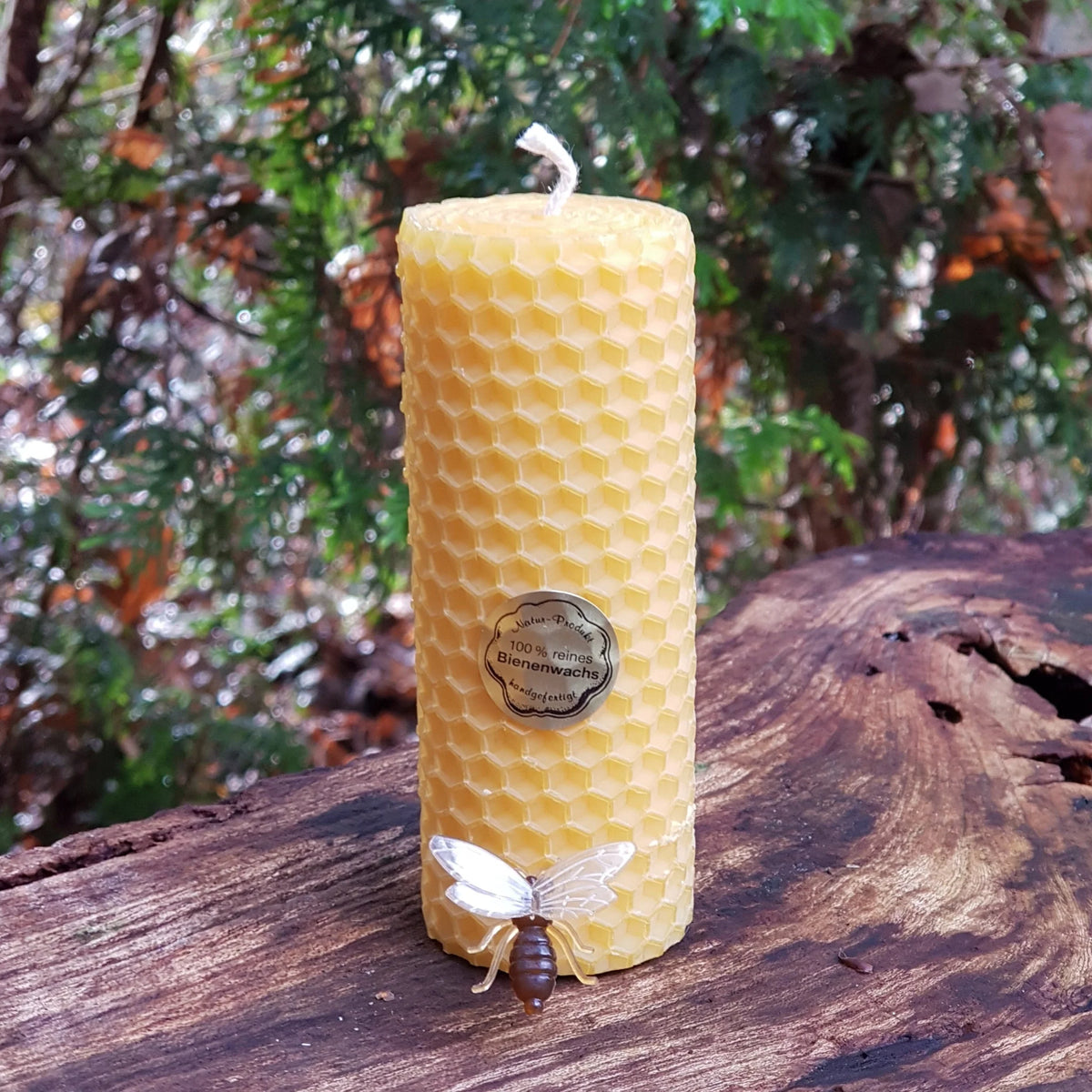 Gedrehte Bienenwachskerzen