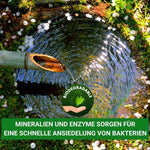 Starterbakterien Teich BIO-Starter für 20.000 L.