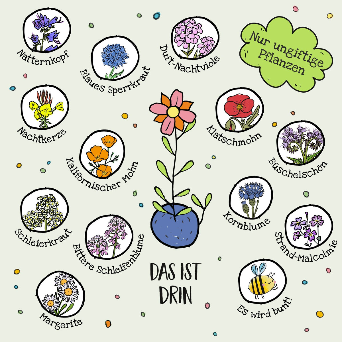 10x5 Blumenmurmeln im Tütchen "Frohes Fest"
