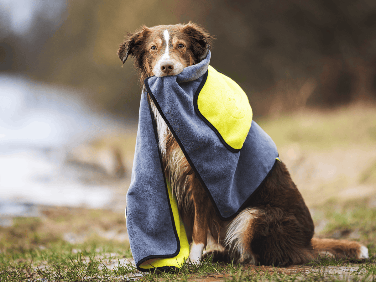 Handtuch BUDDY für Hunde Namma Markt