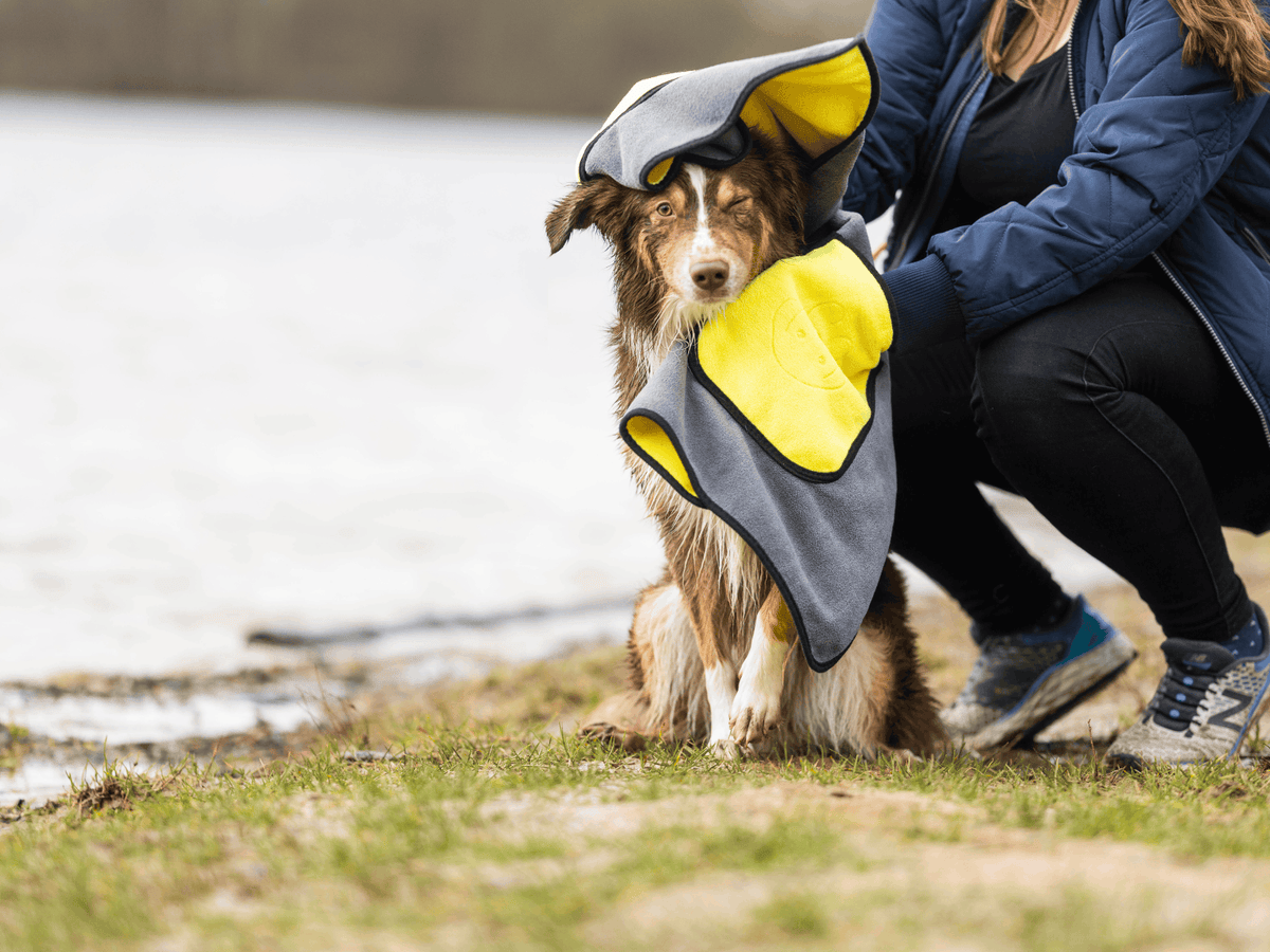 Handtuch BUDDY für Hunde Namma Markt
