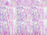 Türvorhang Lametta 90x250cm | Irisierend Lila