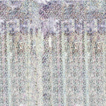 Türvorhang Lametta 100x200cm | Holografisch