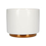 Fellow Monty Cup Collection – Espresso, Cortado, Cappuccino & Latte