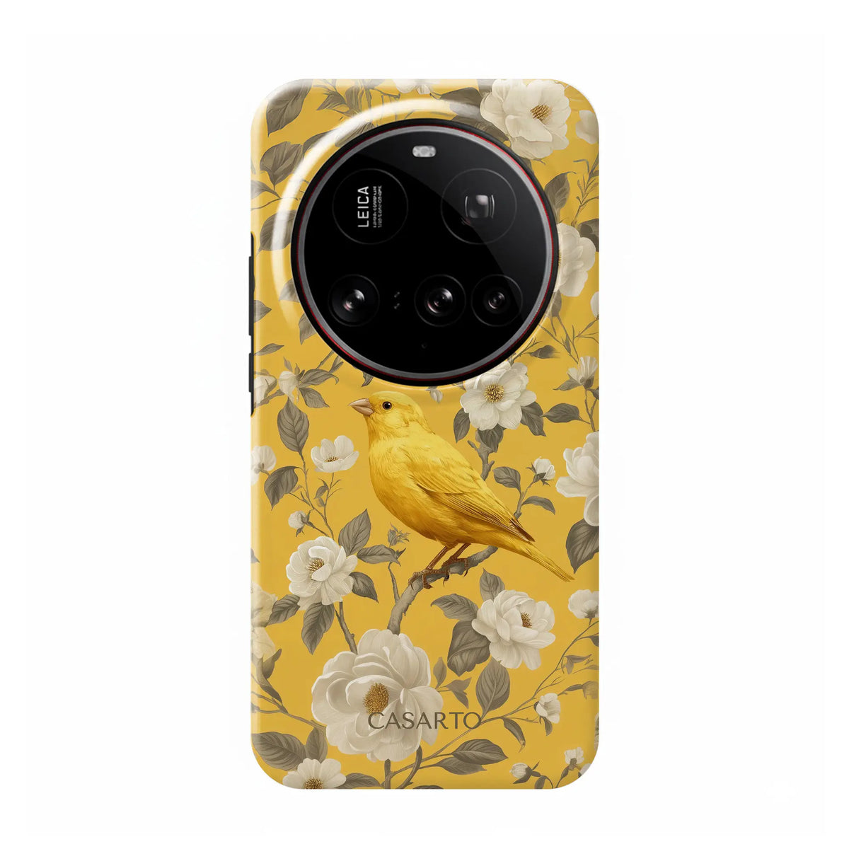 Bird Garden
