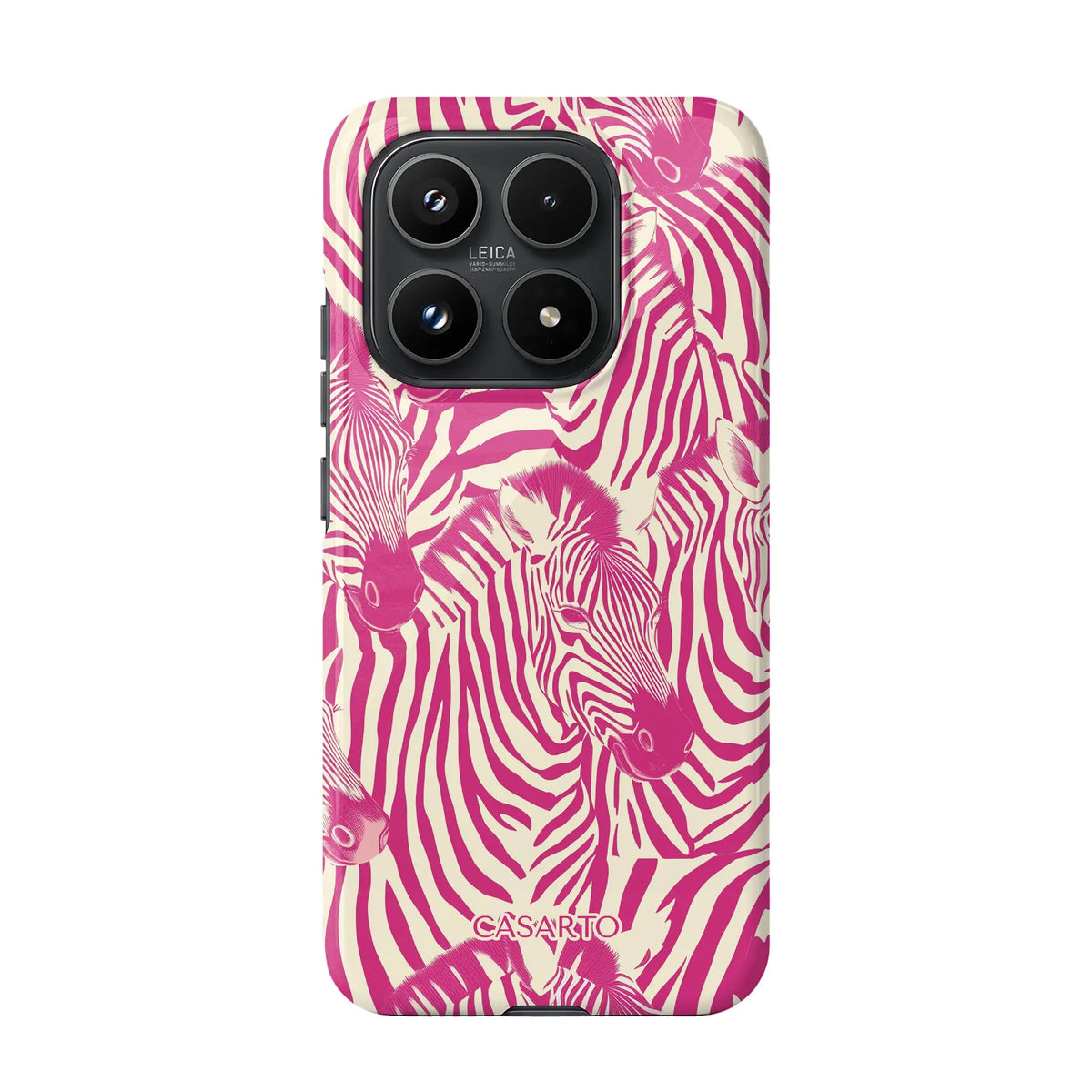 Zebra Chic
