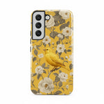 Bird Garden