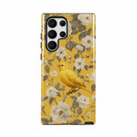 Bird Garden