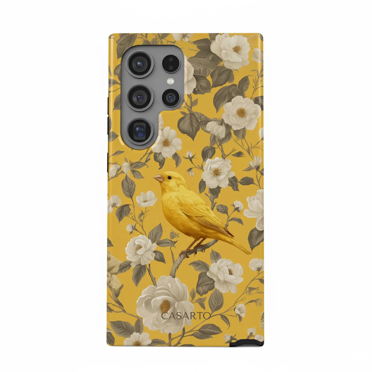 Bird Garden
