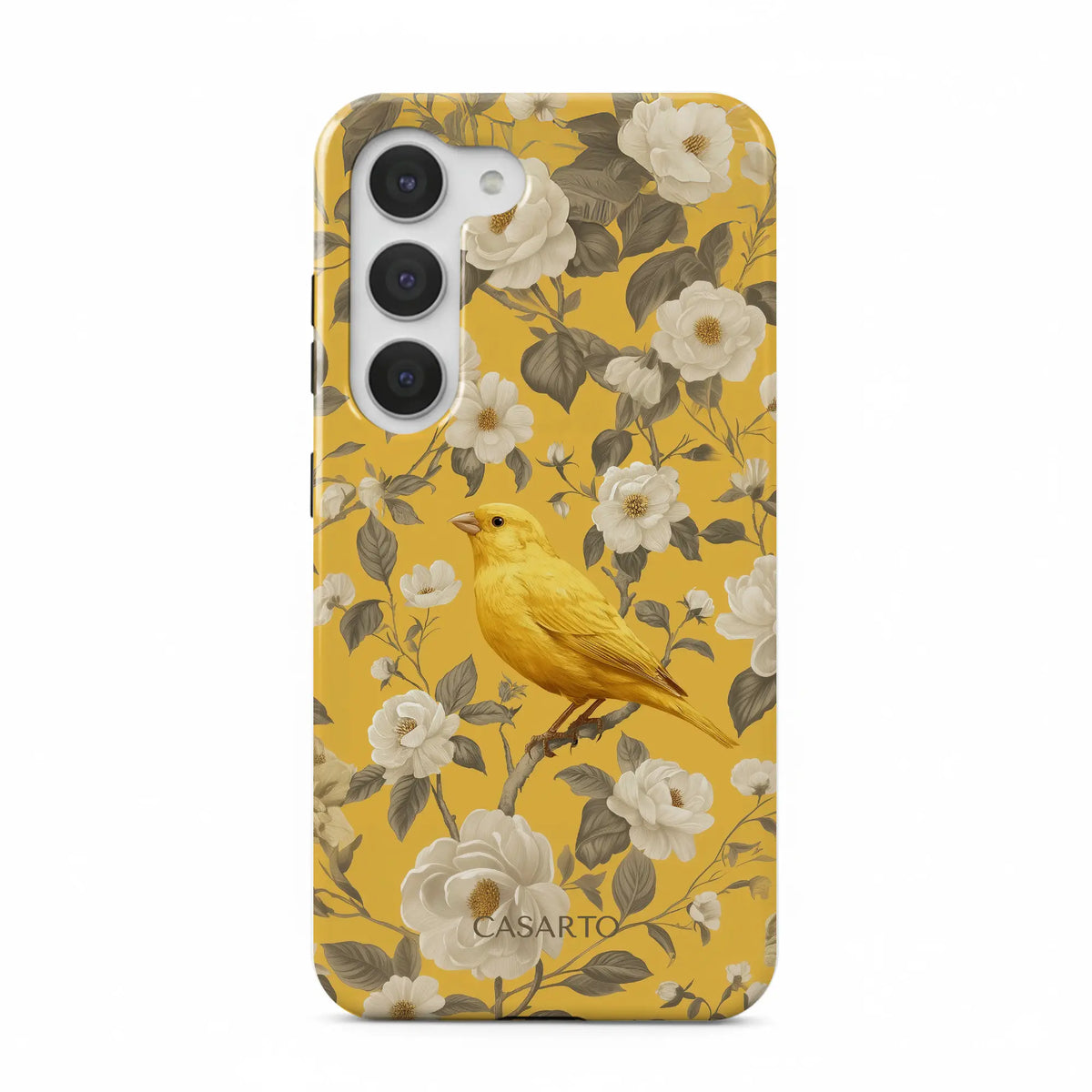 Bird Garden