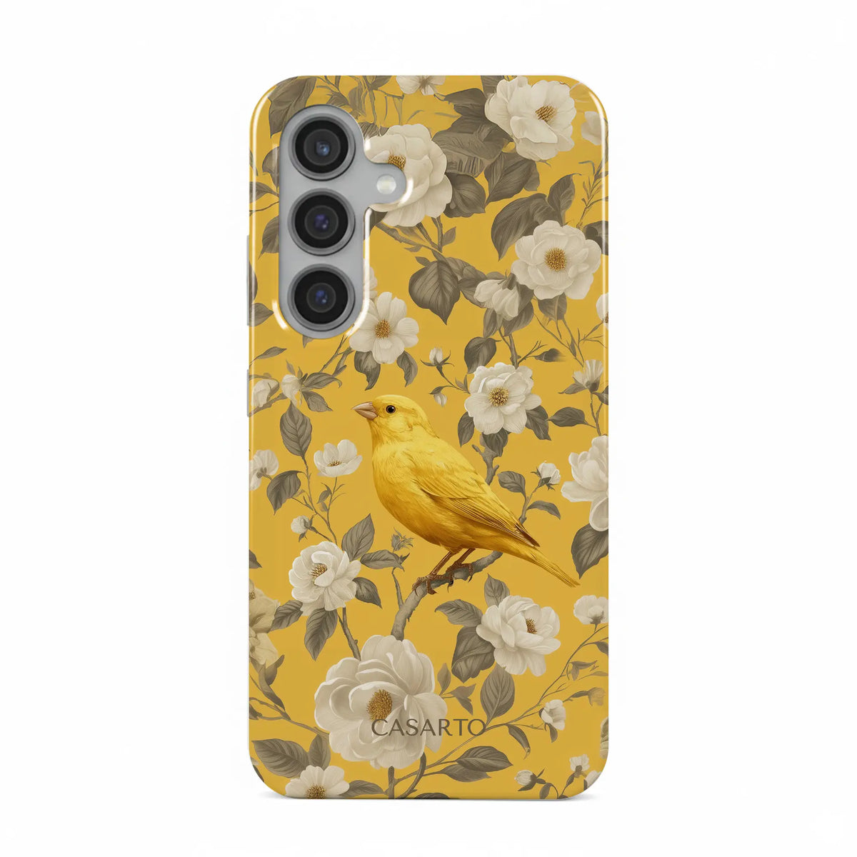 Bird Garden