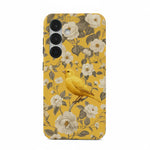 Bird Garden