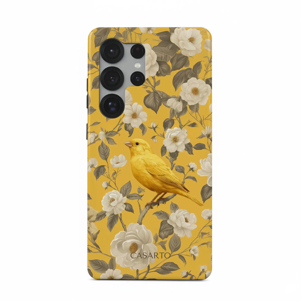 Bird Garden