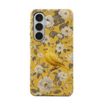 Bird Garden