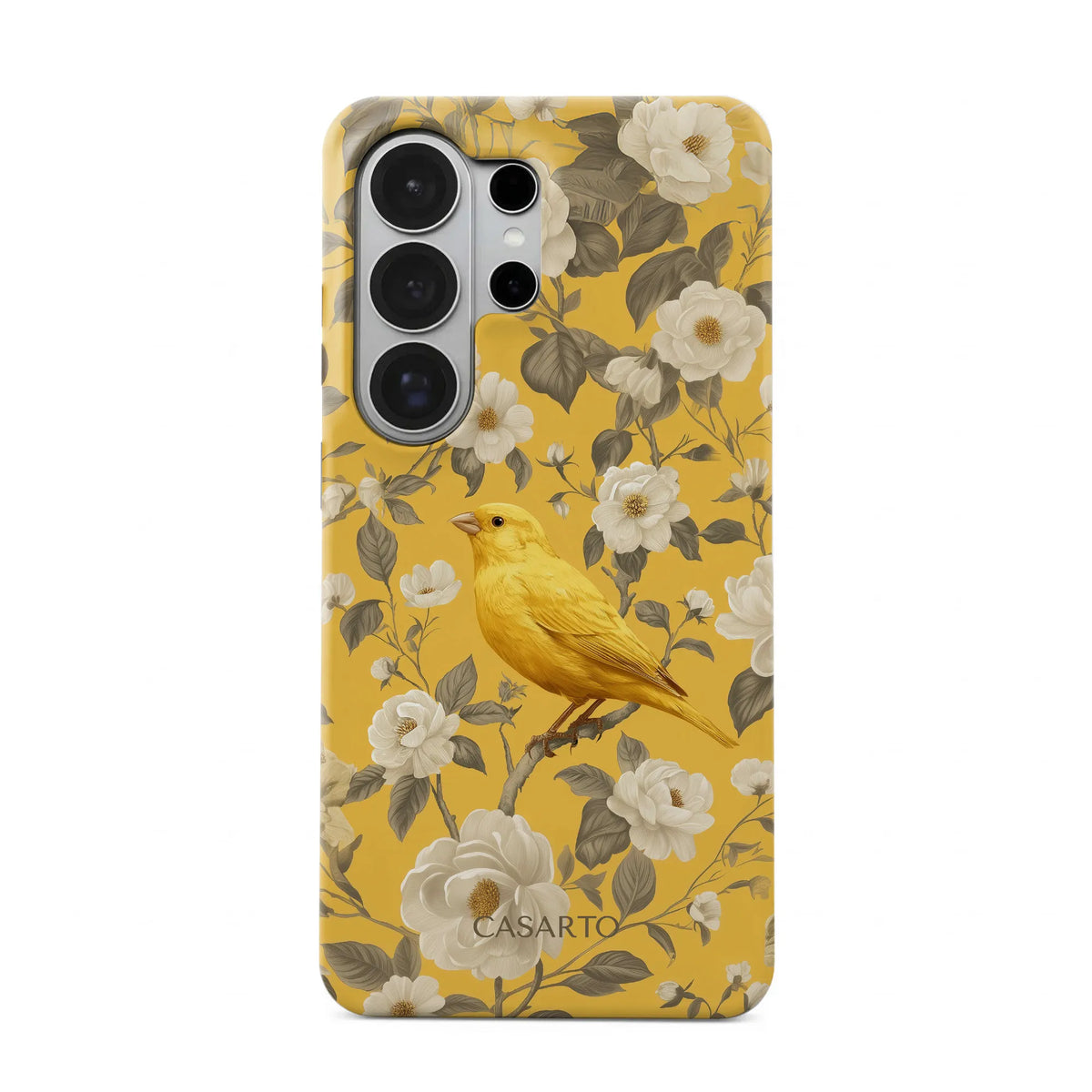 Bird Garden