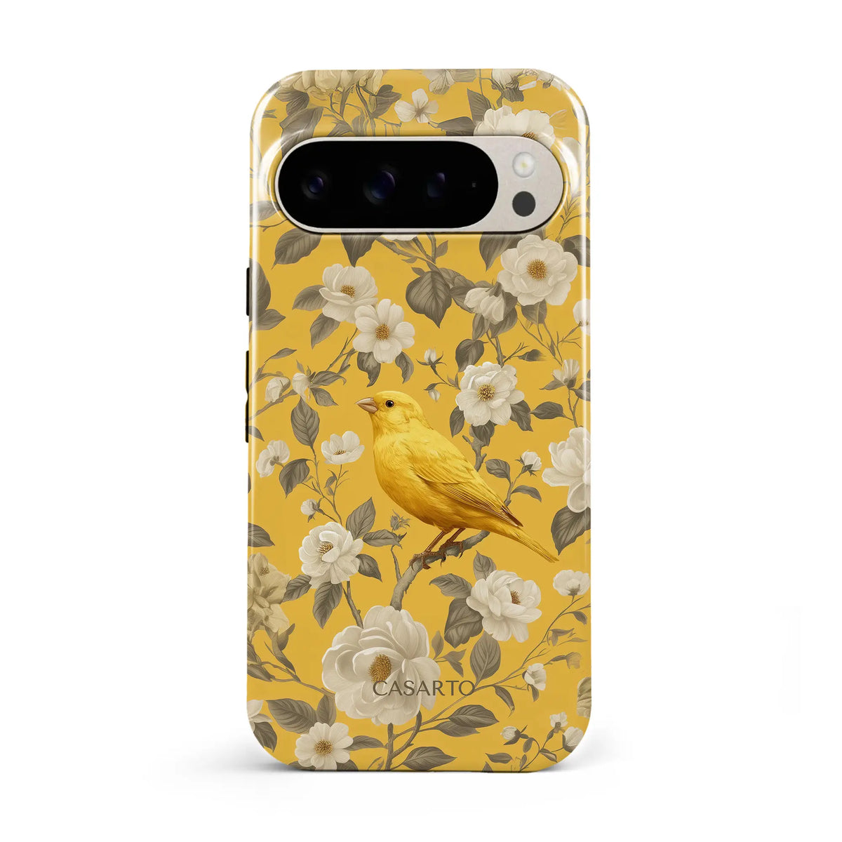 Bird Garden
