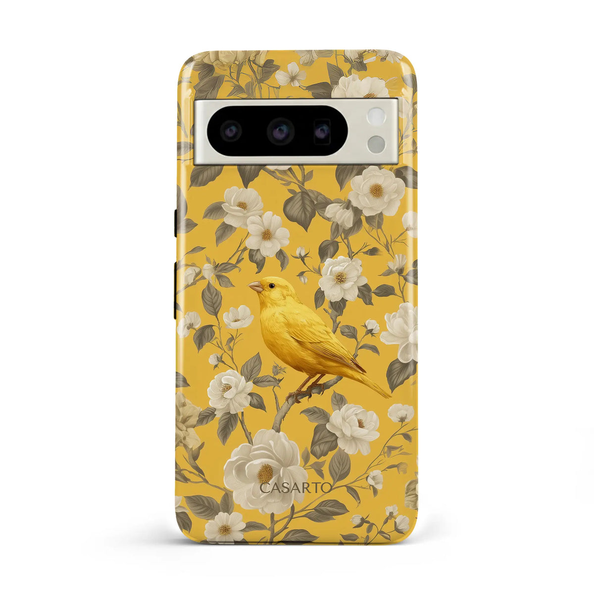 Bird Garden