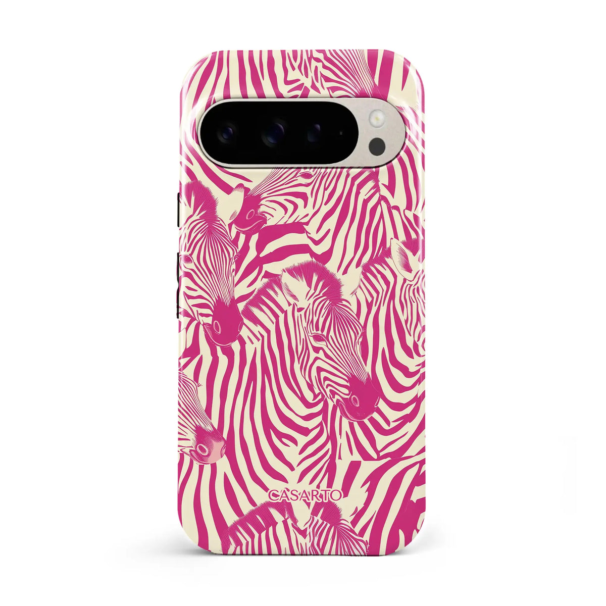 Zebra Chic